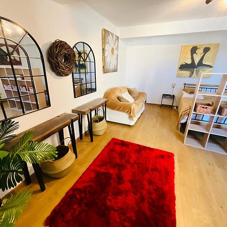 No 14 , 15 Meters Plein Centre Mirepoix Apartment Tres Calme Netflix ,Terrace Sleeps 4 70 M2 Mirepoix (Ariege) Exterior foto